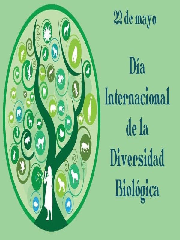 Día Internacional de la Biodiversidad